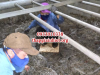 Lắp đạt tháp giải nhiệt Công ty TNHH San Fan VN